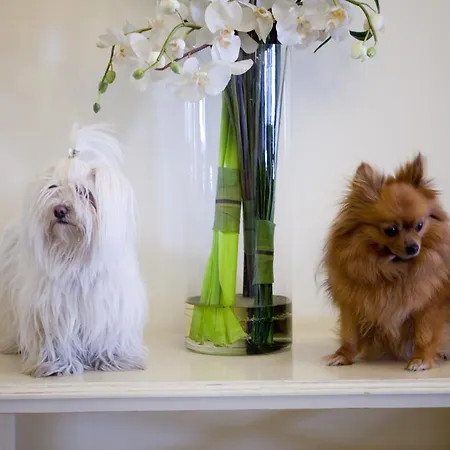 מלון Speranza לידו די ג'סולו