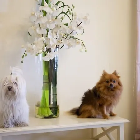 Speranza מלון 3*