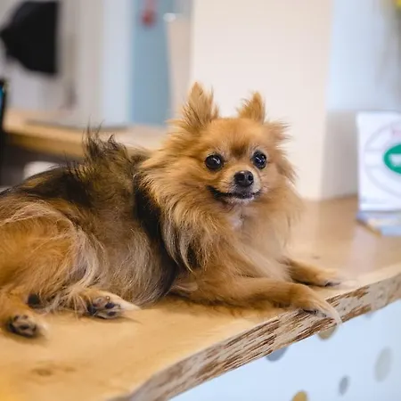 Speranza מלון 3*