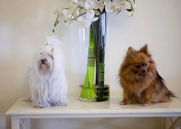 Hotel Speranza Lido di Jesolo