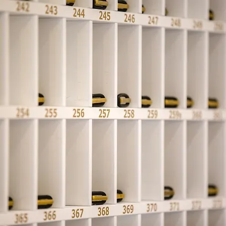 Speranza 리도 디 예솔로