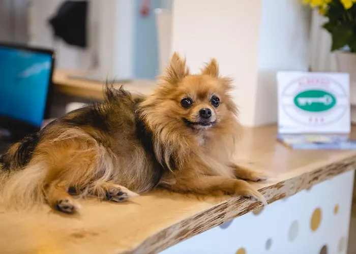 Speranza Отель 3*